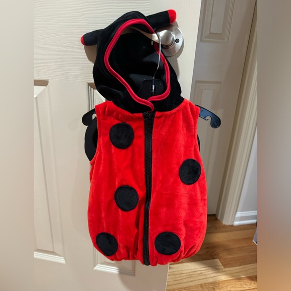 Baby Ladybug Costume 18M - Picture 2 of 3